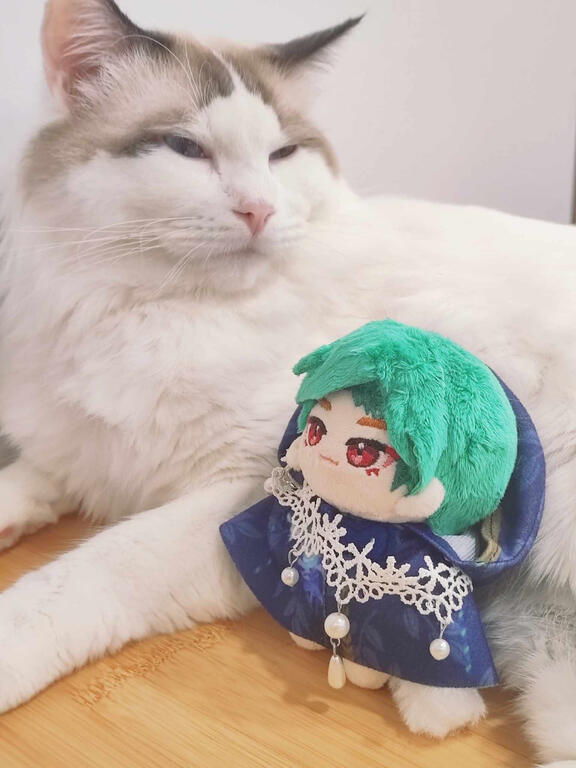 感謝單主信任(ฅ́˘ฅ̀)♡